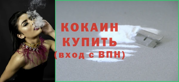 шишки Коряжма