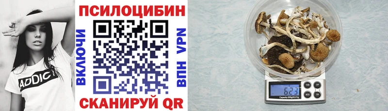 Галлюциногенные грибы GOLDEN TEACHER  Суровикино 